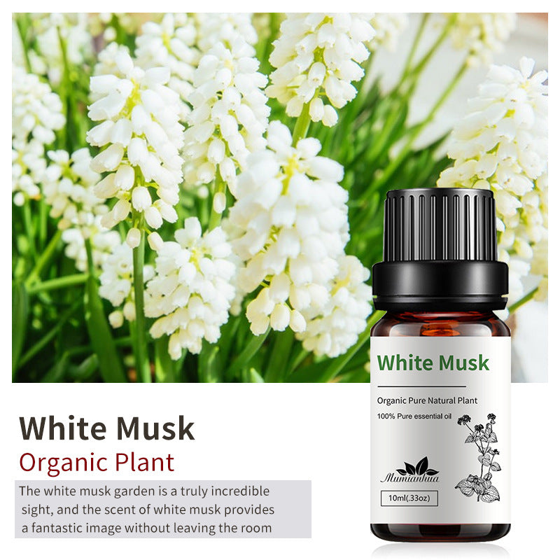Essential Oil-Drees-Haxberry-Product Specifications:Single White Musk White Musk-Haxberry