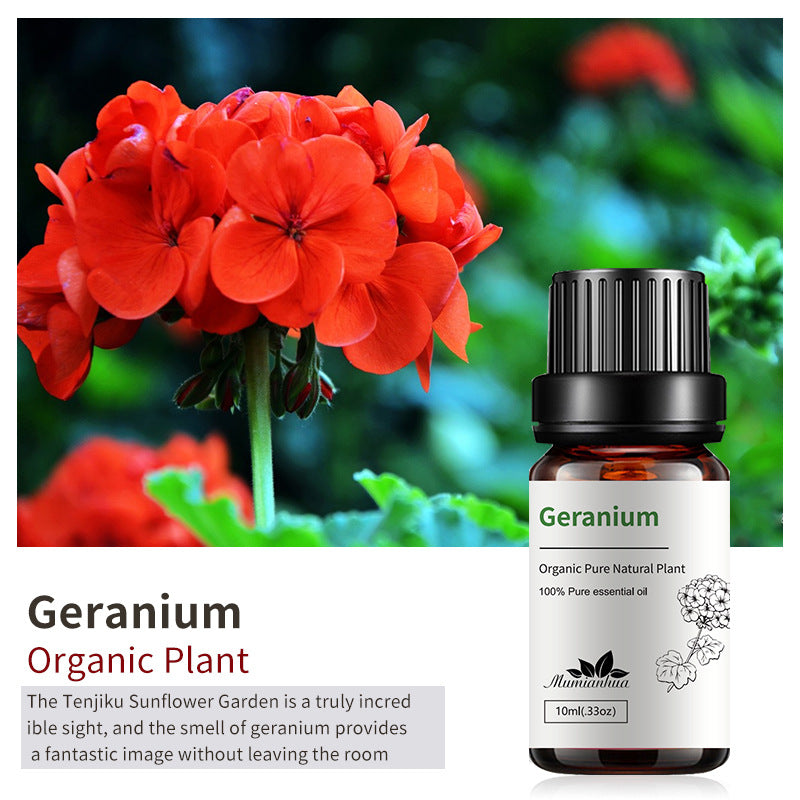 Essential Oil-Drees-Haxberry-Product Specifications:Single Geranium10ml-Haxberry