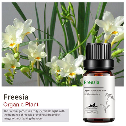 Essential Oil-Drees-Haxberry-Product Specifications:Single side Freesia Freesia10ml-Haxberry
