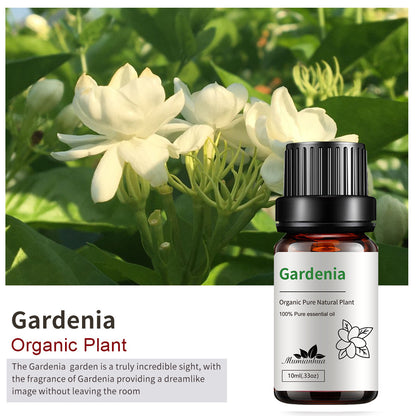 Essential Oil-Drees-Haxberry-Product Specifications:Single Gardenia Gardenia10ml-Haxberry