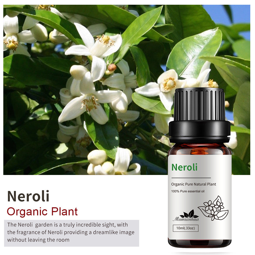 Essential Oil-Drees-Haxberry-Product Specifications:Single Neroli10ml-Haxberry
