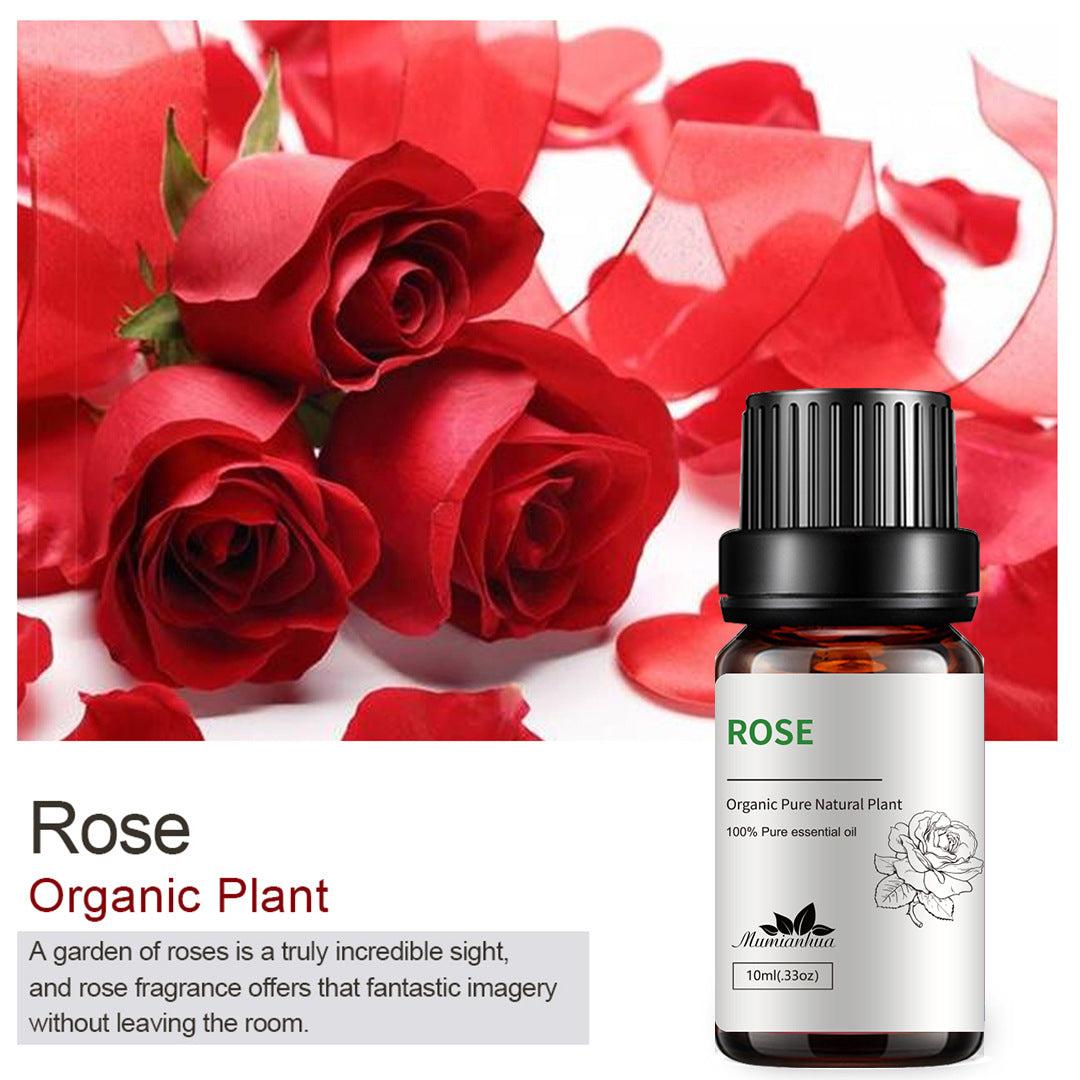 Essential Oil-Drees-Haxberry-Product Specifications:Single side Rose Rose10ml-Haxberry