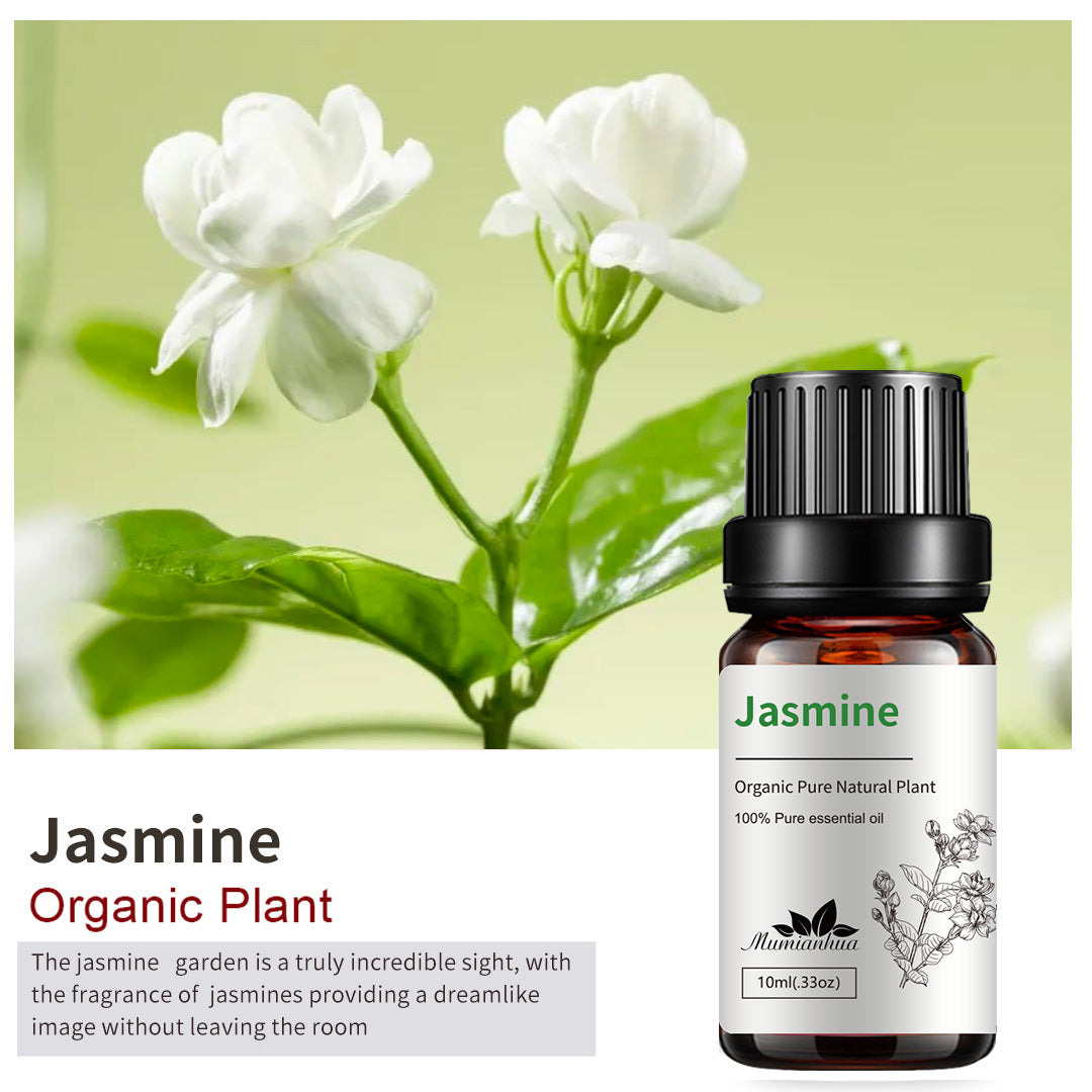 Essential Oil-Drees-Haxberry-Product Specifications:Single side Jasmine10ml-Haxberry