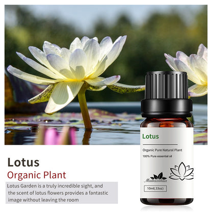 Essential Oil-Drees-Haxberry-Product Specifications:Single Lotus Lotus10ml-Haxberry