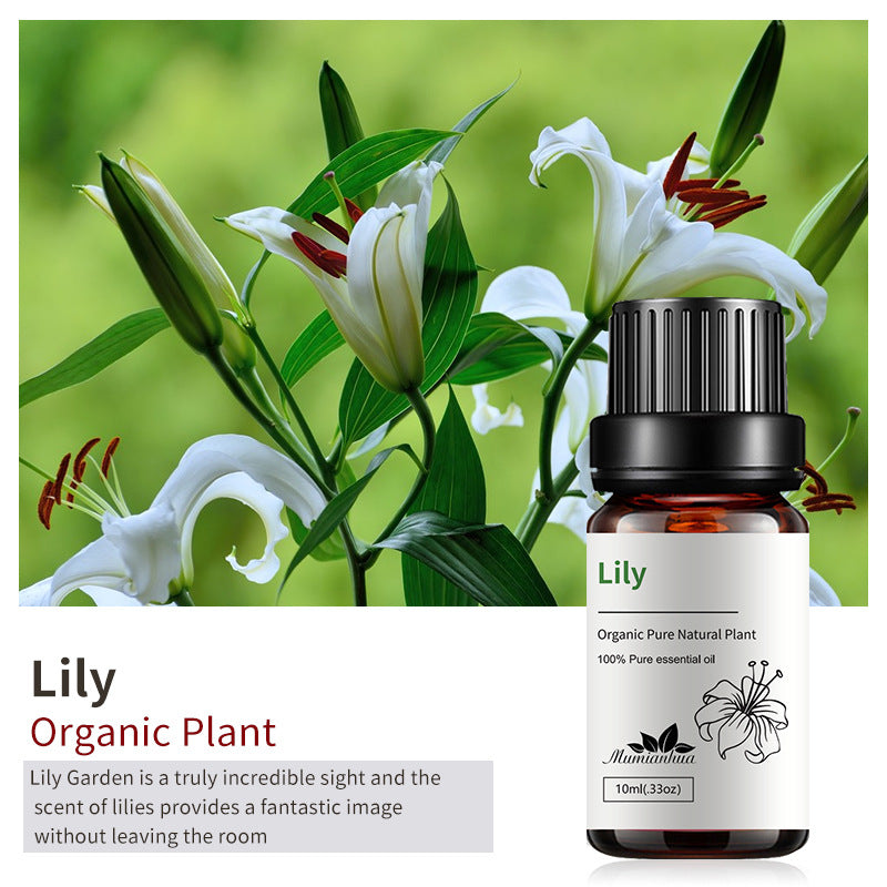 Essential Oil-Drees-Haxberry-Product Specifications:Unilateral Lily Lily10ml-Haxberry