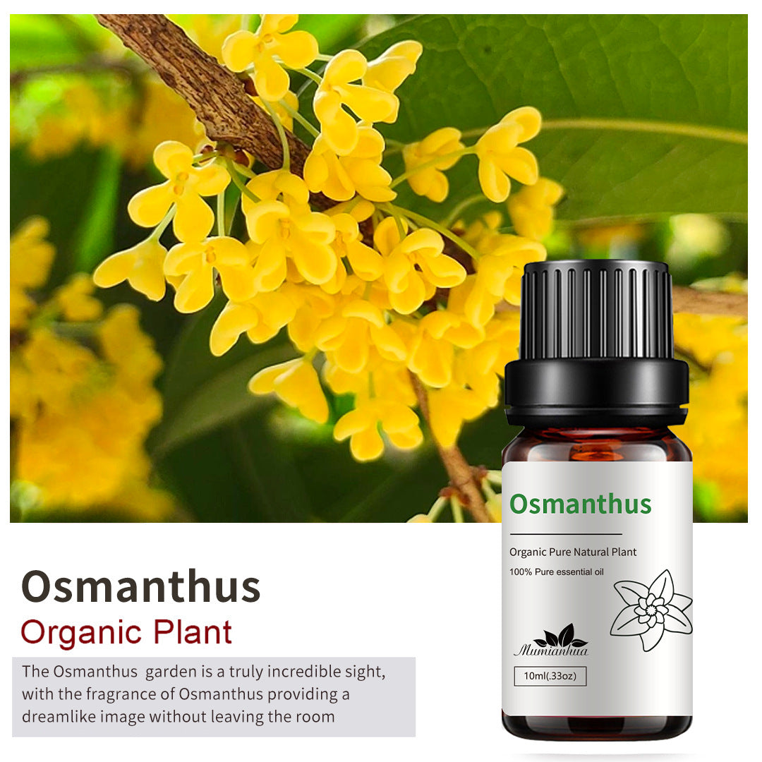 Essential Oil-Drees-Haxberry-Product Specifications:Single side Osmanthus Osmanthus sp10ml-Haxberry