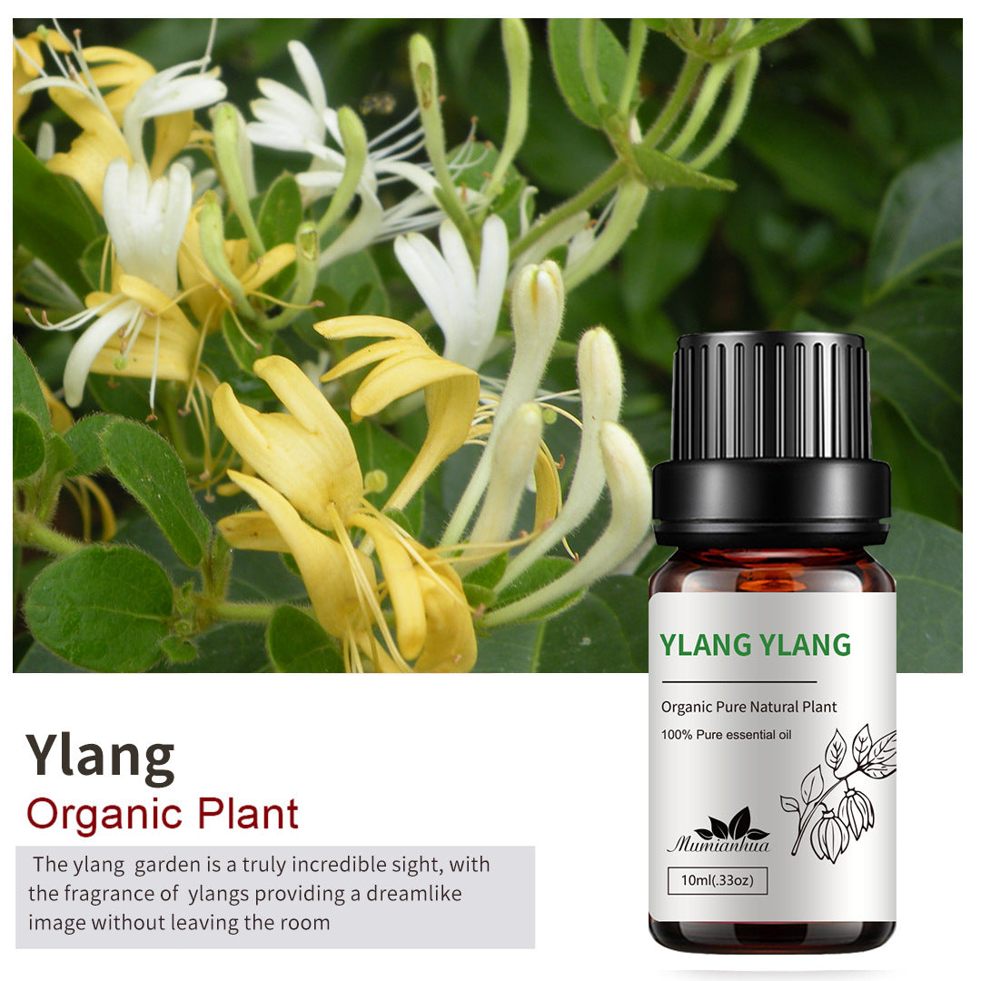 Essential Oil-Drees-Haxberry-Product Specifications:Single Ylang Ylang10ml-Haxberry