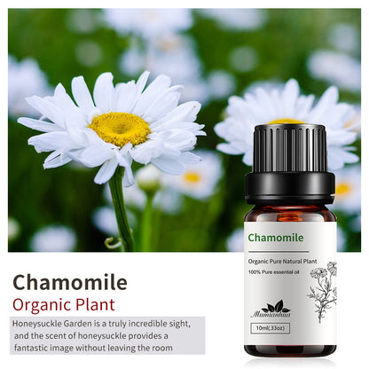 Essential Oil-Drees-Haxberry-Product Specifications:Single Chamomile Chamomile10ml-Haxberry