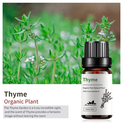 Essential Oil-Drees-Haxberry-Product Specifications:Single Thyme Thyme10ml-Haxberry
