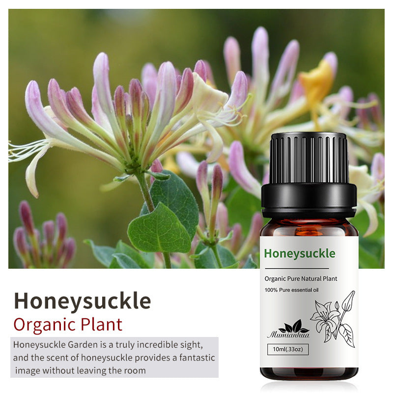 Essential Oil-Drees-Haxberry-Product Specifications:Unilateral Honeysuckle10ml-Haxberry
