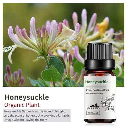 Essential Oil-Drees-Haxberry-Product Specifications:Unilateral Honeysuckle10ml-Haxberry